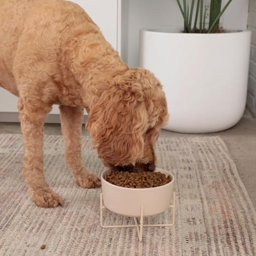 Waggo Simple Solid Dog Bowl and Dog Bowl Stand - Single Iron Stand with Single Ceramic Feeder or Water Bowl (Large, Matte Buttercream)