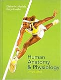 Human Anatomy And Physiology