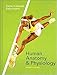 Human Anatomy And Physiology