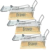 fertighaus schweiz erfahrung ✅ HUMANE ALTERNATIVE - Das Gegenstück zur herkömmlichen Schlagfalle. Die Lebendfalle von Braver DE mit der Sie Mäuse hygienisch und vor allem human fangen.