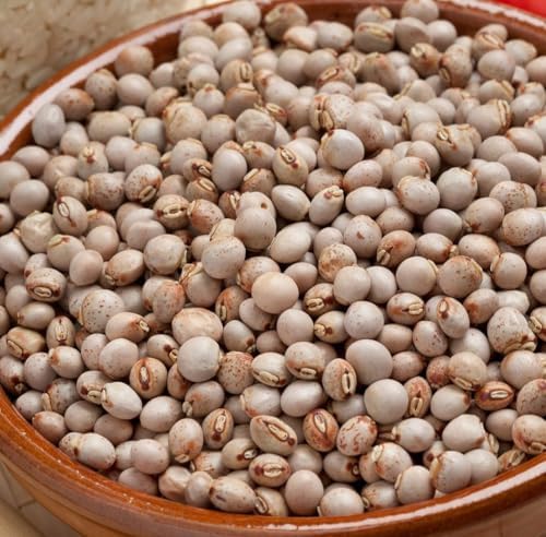 Feijão Andu para Consumo,Plantio,Natural do Norte de Minas Gerais...