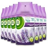 Lavanda, una rebosante fusión de lavanda y bergamota que te transportará a un tranquilo jardín