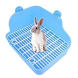 Die ideale Größe eignet sich für Kaninchenbabys, Chinchillas, kleine Meerschweinchen und Frettchen, Galesaurier oder andere kleine Tiere.