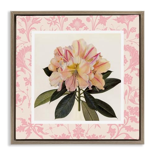 Pink Vintage Botanical Floral, 17 x 17 Inch Canvas in Floater Frame