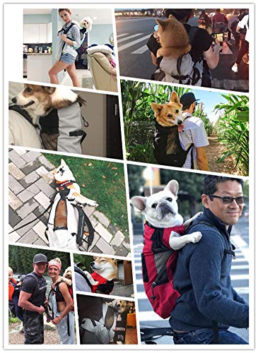 WLDOCA Hunderucksäcke für mittlere Hunde bis 15kg - Atmungsaktiver Faltbarer hundetransporttaschen - Geeignet für Motorradfahren, Wandern, Einkaufen, Reisen - Sicherheit Komfort,Gray,L