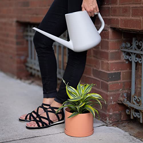 Bloem Fern Watering Can: 1 Gallon Capacity - Grey - Long Spout, Ergonomic Handle, Large Mouth Opening, One Piece Construction, for Indoor and Outdoor Use, Gardening - Thumbnail 5