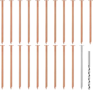 20 Pcs Copper Nails for Killing Trees, Stumps & - 3.5 Inch Long Come with 1 Steel Nails and 1 Drill Nail