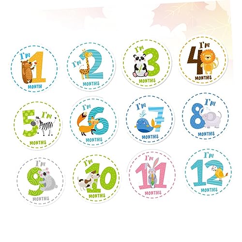 Vaguelly Vp}X[XebJ[ 12Zbg Ԃ̐ߖڋL^ ԃXebJ[ xr[ʐ^BepA[gfR[V oYj ap[eB[ cp