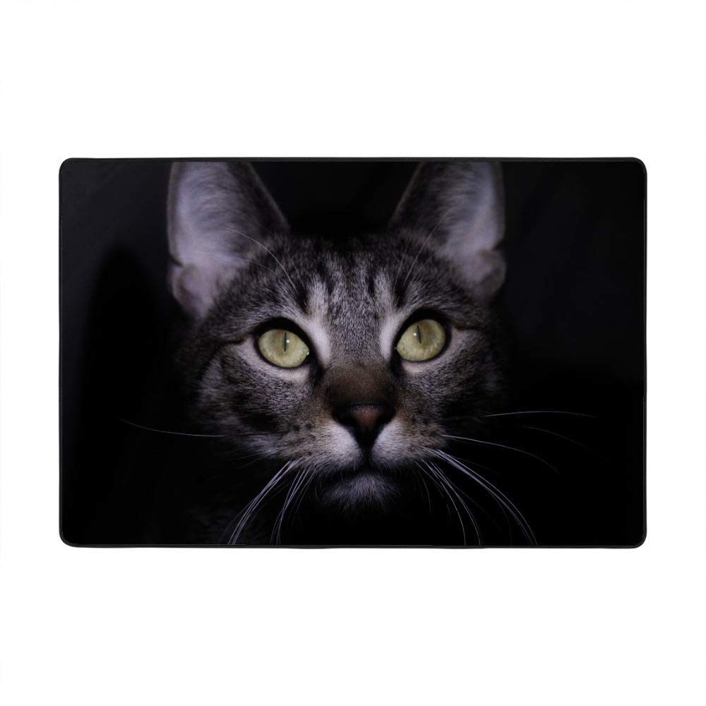 Grand tapis de salon chat noir en velours pour un coin lecture cocooning