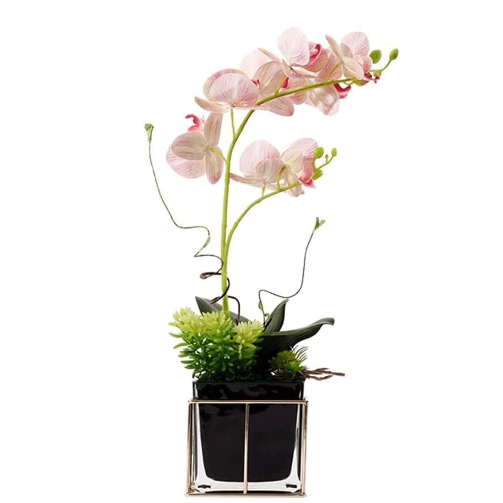 MYUYEE Artificial Flowers For Decoration Artificial Flower Phalaenopsis Artificial Fake Flowers Plants Flower Bouquet For Home Office Wedding Decoration Artificial Flowers Plant(Black-Roze)