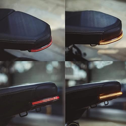 Miniatura 6 de Chaoouyue Luz indicadora de señal de giro LED para BMW R9T R nueve T RNINET R NINE T ScramblerUrbanoPure plug and play (señal de giro halógena)