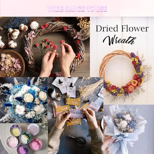 RTRTGS Natürliche Getrocknete Blumen, getrocknete hortensien, Trockenblumen Set, trockenblumen deko, für DIY Gepresste Blumen, Scrapbooking, DIY-Kerze, Schmuckanhänger Basteln