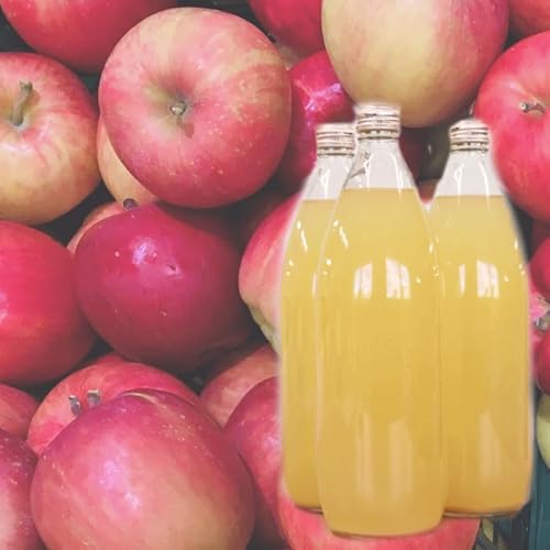 青森りんごジュース 1000ml ラベルレス 旬のりんごだけを丸ごと絞り 青森県産100%使用 リンゴジュース 林檎ジュース 青森期待の新人商店 (2本)