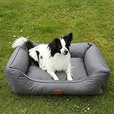 your GEAR Belluno Orthopädisches Hundebett 60x80 cm – Memory-Foam Hundekissen für mittelgroße & kleine Hunde, Oeko-TEX, waschbar & hygienisch, ergonomisch & rutschfest