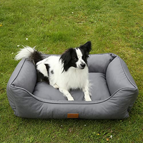 your GEAR Belluno Orthopädisches Hundebett 70x100 cm – Oeko-TEX Hundekorb, waschbar, hygienisch, ergonomisch, komfortabel, ideal als Hundebett große Hunde - auch als Katzenbett