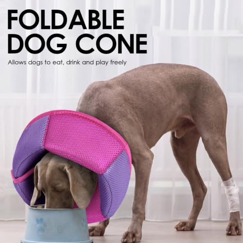 Image of AOFITEE Dog Cone - Foldable Cone for Dogs After Surgery, Adjustable Comfy Cones to Stop Licking, Soft Dog Cone Collar for Large Dogs, Elizabethan Pet E-Collar for Wound Healing, MagentaPurple Large