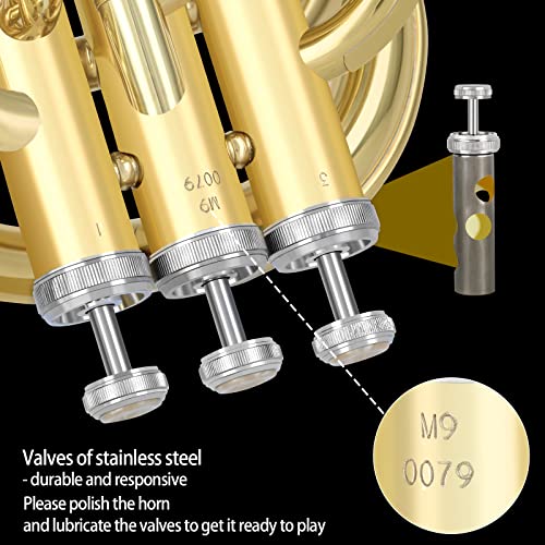 image for ROWELL Professional Bb Baritone Horn - 3 Valves Brass Baritone with St