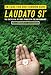 On Care for Our Common Home, Laudato Si': The Encyclical of Pope Francis on the Environment with Commentary by Sean McDonagh