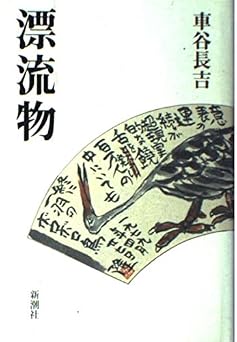 漂流物
