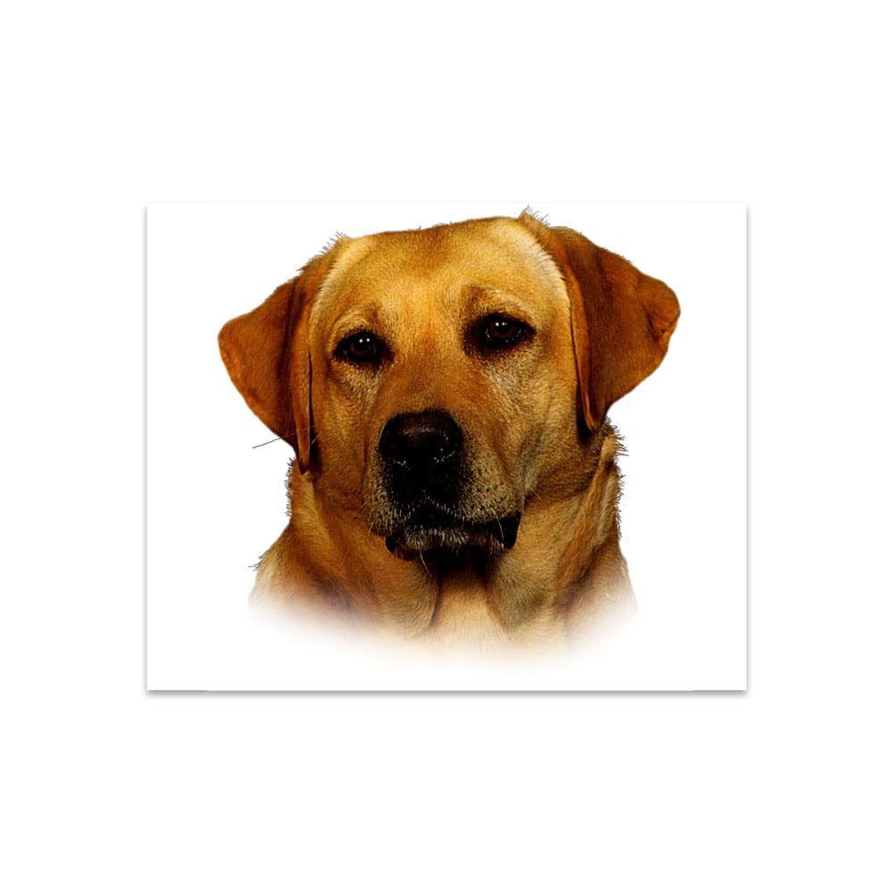 Quattroerre Sticker Labrador Dog Tab, 14 x 16 cm