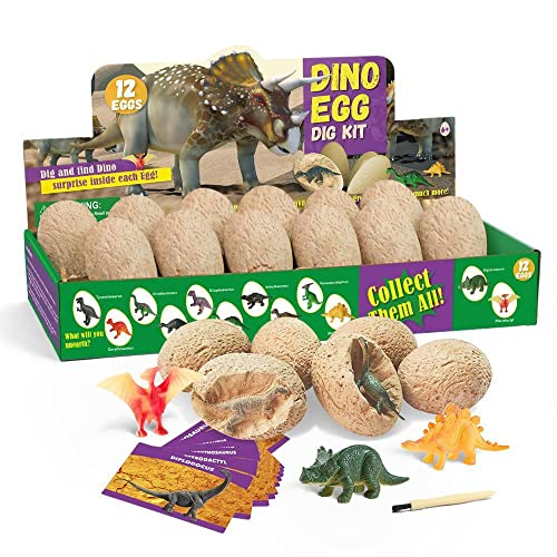 Top 10 Best Dinosaur Egg Dig Kit Reviews & Buying Guide Katynel