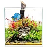 UNS 40C Rimless 16.9 Gallon