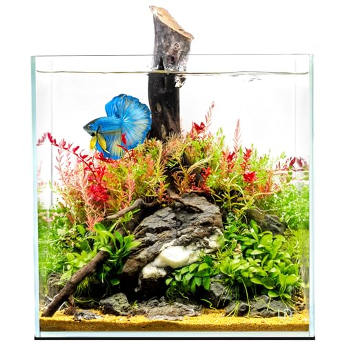 UNS Ultra Clear Rimless Tank - 16.9GAL | 64L - 15.74x15.74x15.74 | 40x40x40 CM, 6mm Glass Thickness, Leveling Mat Included - Low Iron, High Clarity Fish Tank w/ 45° Mitered Edge - [40C]