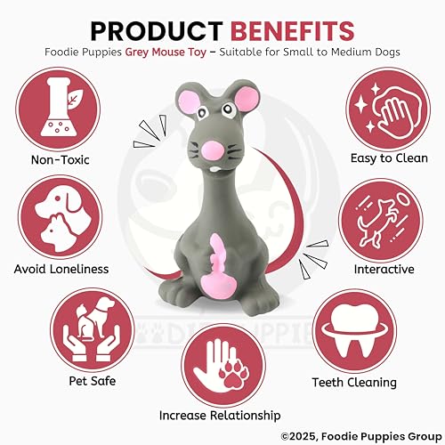 Image of Foodie Puppies Squeaky Latex Dog Toy for Small Dogs & Puppies | Grey Mouse Shape | Durable, Soft & Safe | Fun Chew, Fetch & Play Toy | 14cm | Interactive Animal Design with Cotton Filling