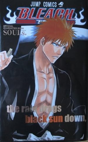 少年漫画 Bleach JCcover postcard book mails MAILs. BLEACH JCCOVER POSTCARD BOOK (ジャンプコミックス