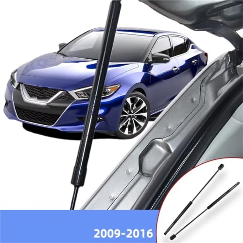 Jambes force levage capot pour remplacement entretien Maxima - 2