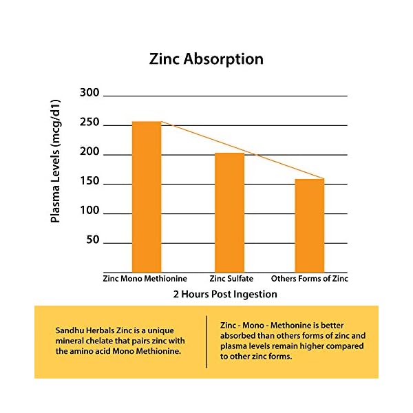 Zinc-50mg-Supplement-120-Vegetarian-Capsules-Zinc-Highly-Absorbable-Supplements-for-Immune-Support-System-Gluten-Free-Zinc-Supplement Zinc 50mg Supplement 120 Vegetarian Capsules, Zinc Highly Absorbable Supplements for Immune Support, Gluten Free