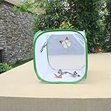 Tienda de campaña plegable de malla con puerta de cremallera para criar orugas y mariposas