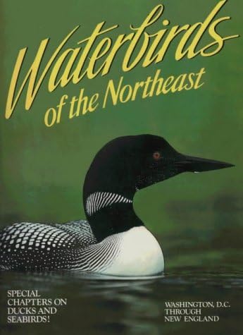 Waterbirds of the Northeast: Washington, D.C. Through New England