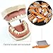 Angzhili 40 Pcs/Box Dental Wedge Knife Teeth Interproximal Plastic Wedge (Orange)
