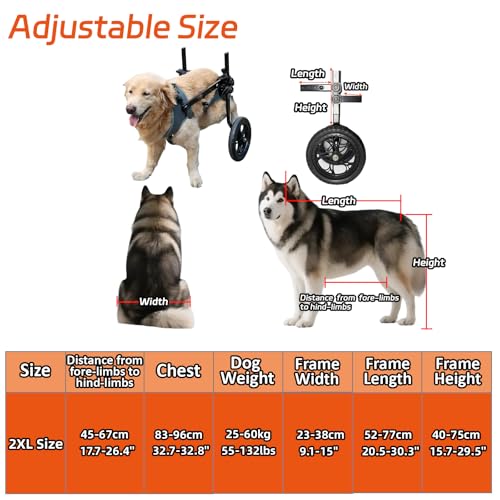UIQELYS Großer Rollstuhl für Hunde, Riesenrollstuhl, grau, leichter Rollstuhl für Behinderten/Alt, verstellbar