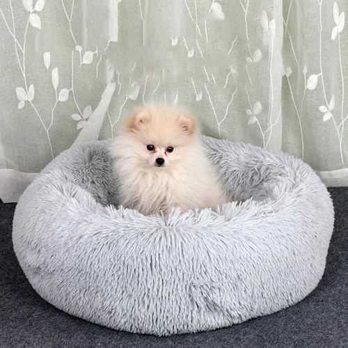 [ADSNS] L ׃bh  xbh ʔN ~ ۉh LObY ʔNKp h[ic  L NbV 􂦂 ϊ L  p ybgpi J[9 110 ۉh ΍ ~ ӂ 薰 ʔN I[V[Y