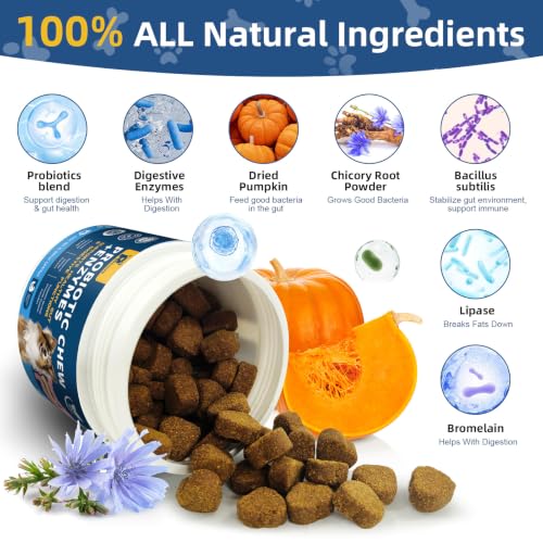 Probiotics for Dogs Digestive Health, Natural Probiotic Supplement with Digestive Enzymes and Prebiotic - Image 5