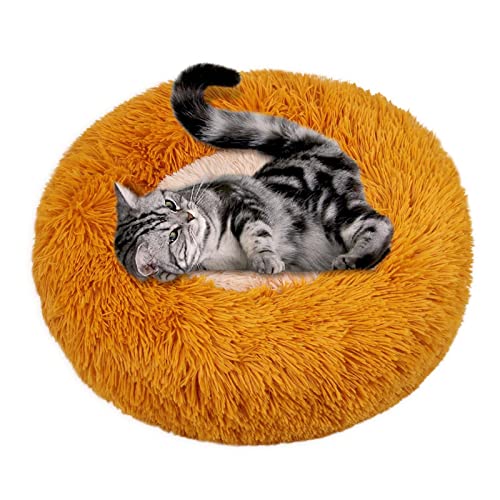 Cama calmante para cachorro - cachorrinverno com design torta ovcor | Camas redondas peludas para an