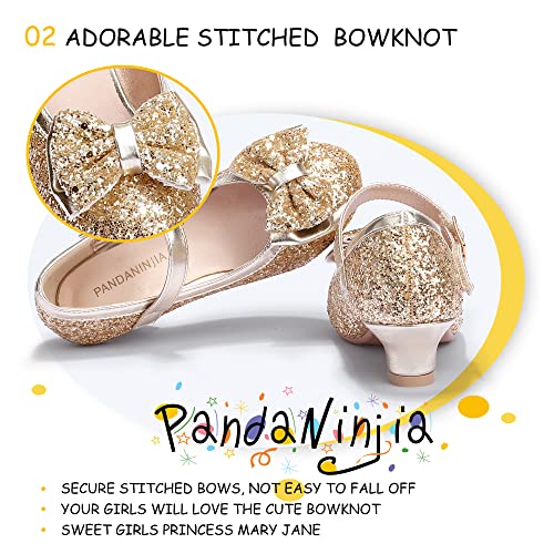 Image of PANDNAINJIA Girls Dress Shoes Toddler Heels Mary Jane Pumps