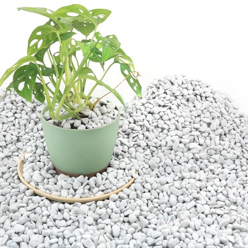 9 Quarts Chunky Perlite for Plant Soil Amendment for Potting Soil Improves Drainage and Aeration for Soil Ideal for Succulents Orchid Flower Plants (1/4 inch)