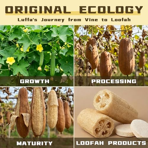 2.36 Inches Natural Loofah Sponge Pads - 6 Pcs Exfoliating Body Facial Scrub Pads for Washing Face, Round Natural Loofah Sponge, Remove Dead Skin Facial Loofah Pad for Bath Shower Women & Men
