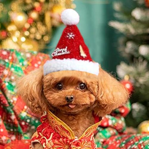 Jouets en peluche pour chiots et chiens, set complet de Noël interactif - 5