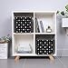 Versatile Storage Box, Dog Paw Print, Collapsible Cube Organizer with Handles, Easy Storage Solution for All Rooms
