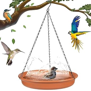 Hanging Bird Feeder from Tree – What You Didn’t Know About These Gems 1 hanging bird feeder from tree
