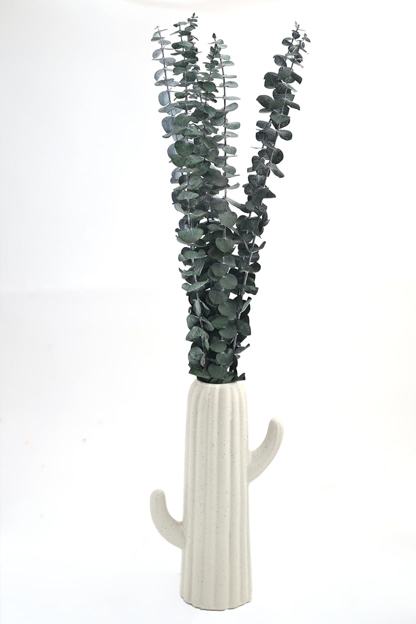 Versailles Premium Preserved Babydollar Eucalyptus Stems | Real Preserved Baby Dollar Eucalyptus Leaves for Home Decor, Shower Hanging, Vase Arrangements, and Wedding Greenery-image-5
