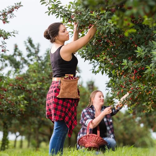 Mezchi 3 Pack Foraging Pouches