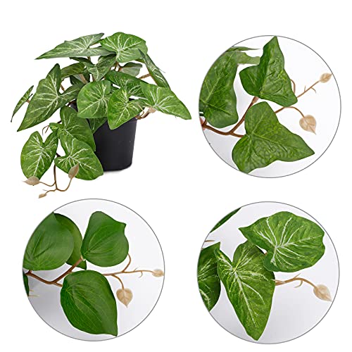 Opiniones y reviews de Plantas artificiales cdmx - solo los mejores. 15 Imagen adicional