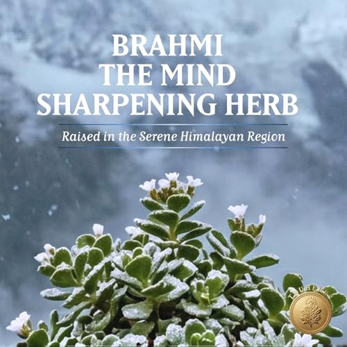 Image of Baidyanath TruSoul Brahmi 60 Veg Capsules | Helps Enhances Mental Clarity, Memory & Cognitive Health | Pure Herbs for Mind Wellness | Promotes Mind Relaxation (Pack of 2)