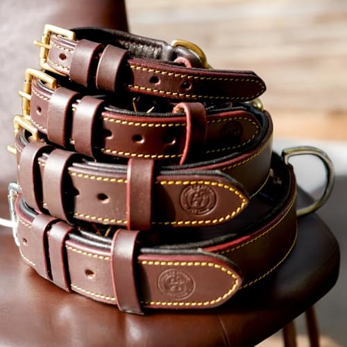 Image of 100% Highgrade Leather Colored Dog Collar for Neck with Brass Accesories in Extra for Dogs.Neck Collar for Dogs (Chocolate Brown, Size Neck - Small (11.5-14.5 Inch))