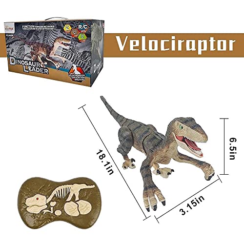 Bompow 2Pcs Dinosuar Toys Remote Control Dino Toys For Kids #TOP3